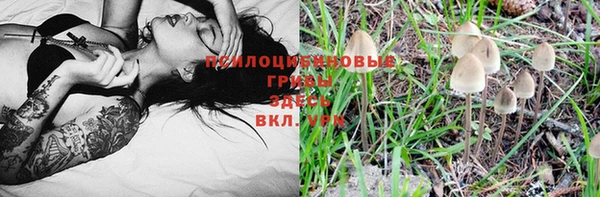 гашиш Корсаков