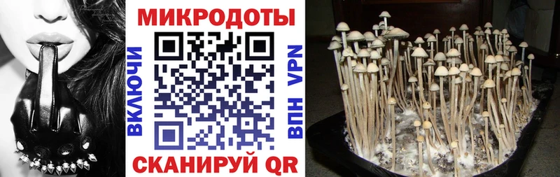 Галлюциногенные грибы мухоморы  купить  цена  Среднеколымск 